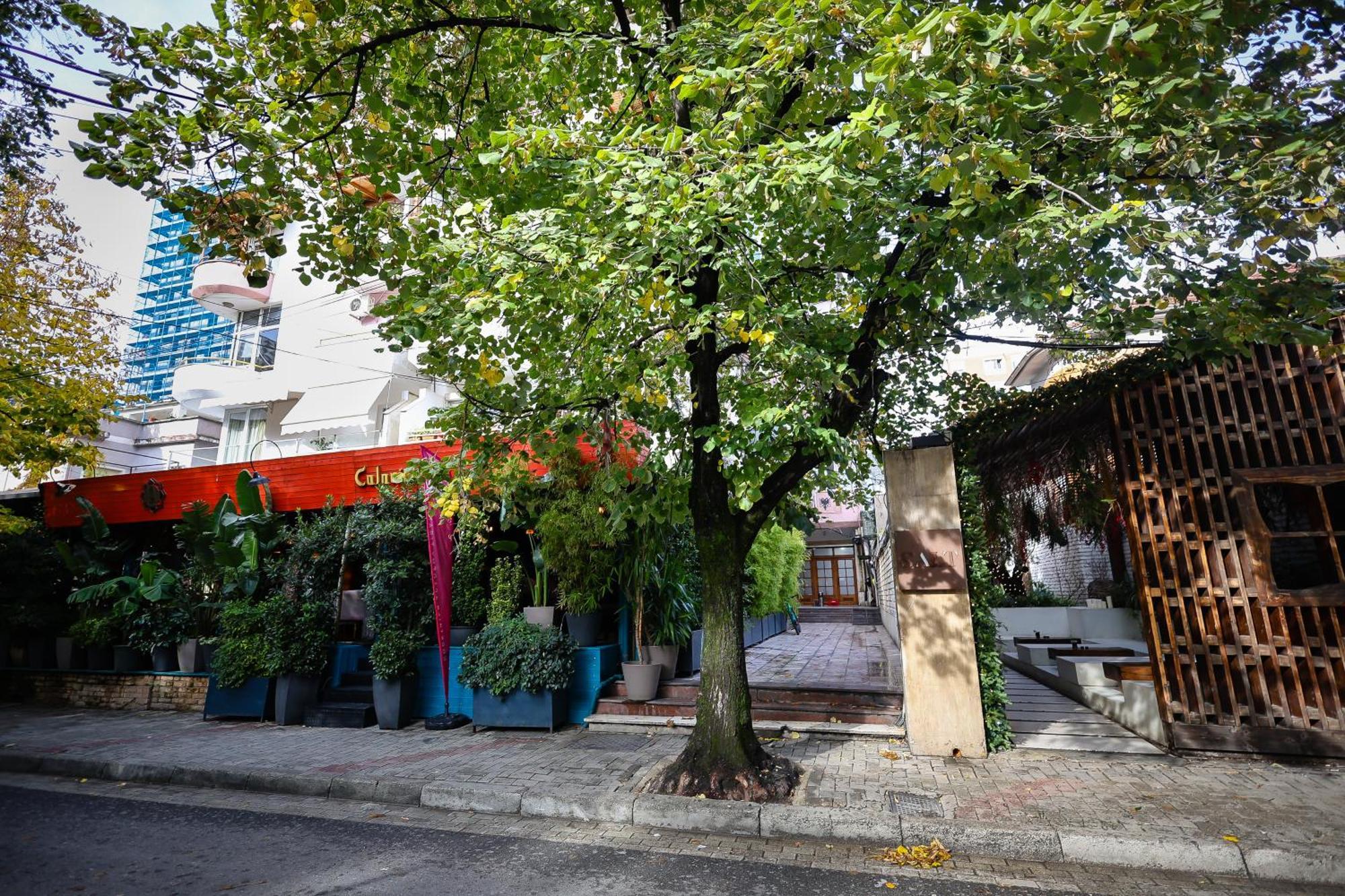 Noela'S Place تيرانا المظهر الخارجي الصورة